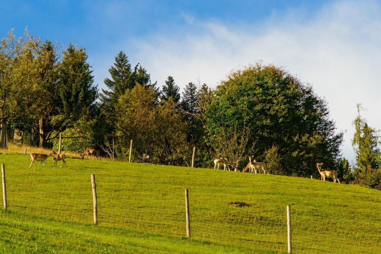 Schrahlehen Bed and Breakfast Wagrain Buitenkant foto